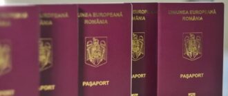 Тысячи заявителей выдохнули: срок по языковому сертификату продлен